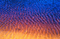 SC119 Tannin Coloured Estuary, Yuraygir National Park NSW